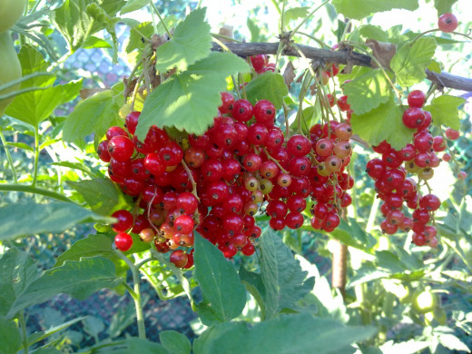 599910 (a): :1600x1200